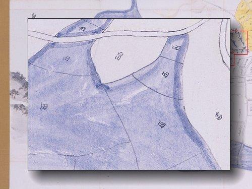 耕作地の部分拡大図
