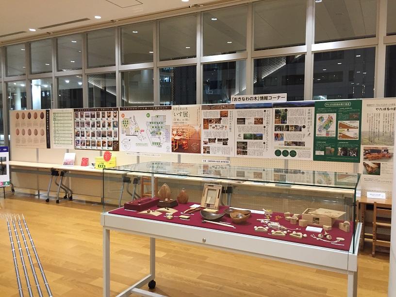 沖縄県立図書館森林管理課木の椅子展示