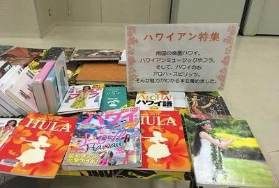 【2017年11月5日】国頭村空とぶ図書館3