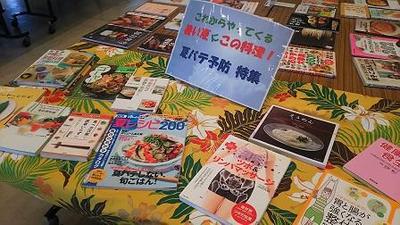 【2017年6月17日、18日】粟国村空とぶ図書館6