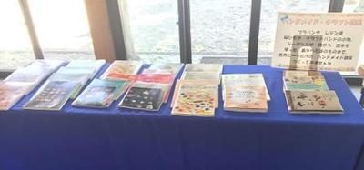 【2017年5月10日、5月11日】竹富町竹富空飛ぶ図書館4