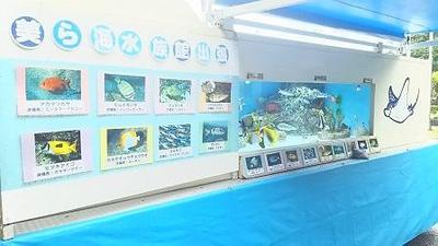 【2018年1月19日、1月20日】伊江村空とぶ図書館4