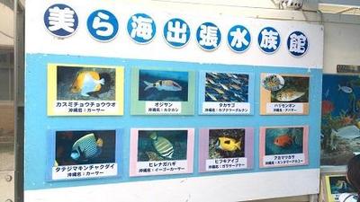 【2018年2月13日、2月14日】渡嘉敷村空とぶ図書館3