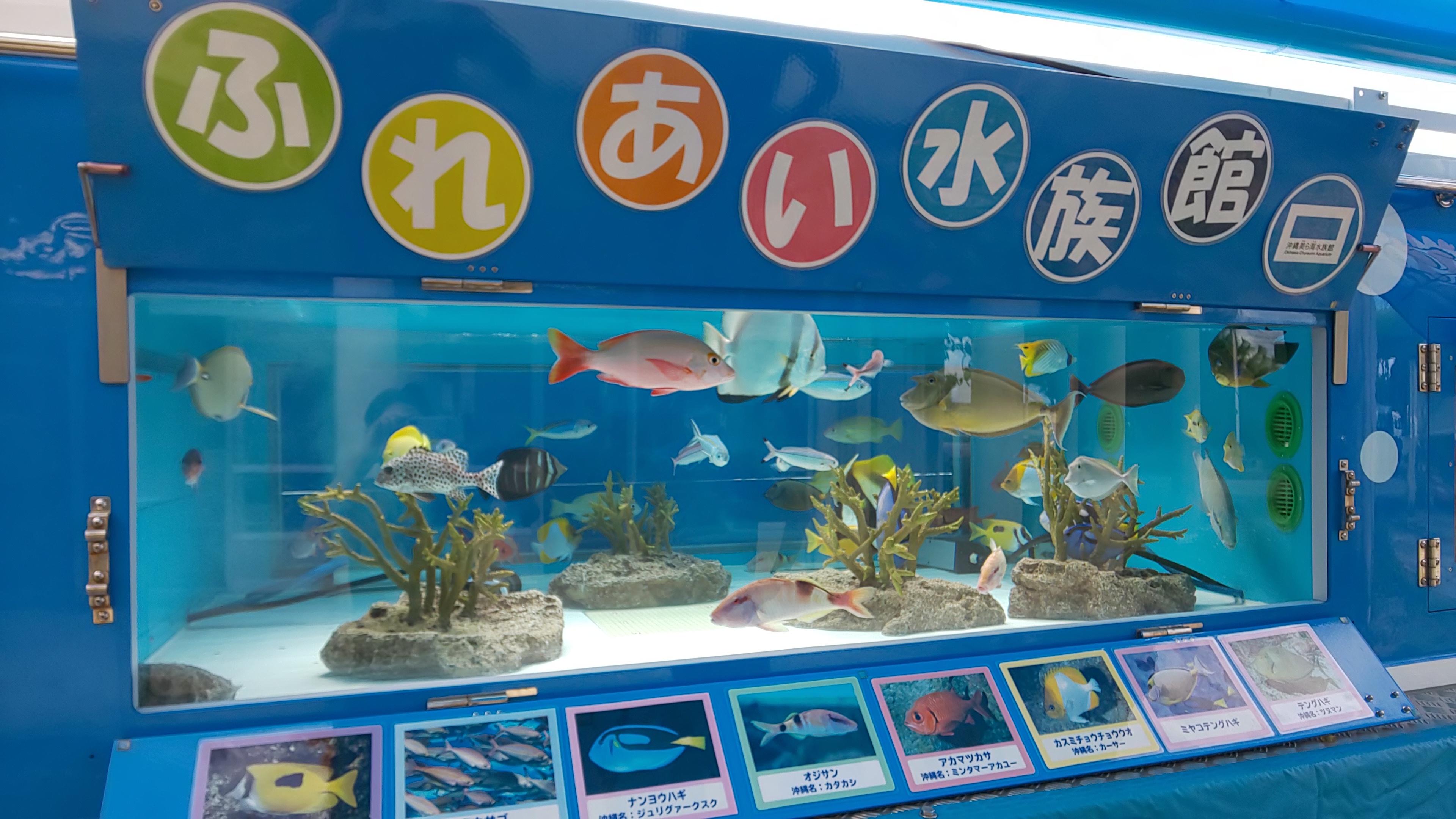 大宜味村空とぶ図書館の画像1