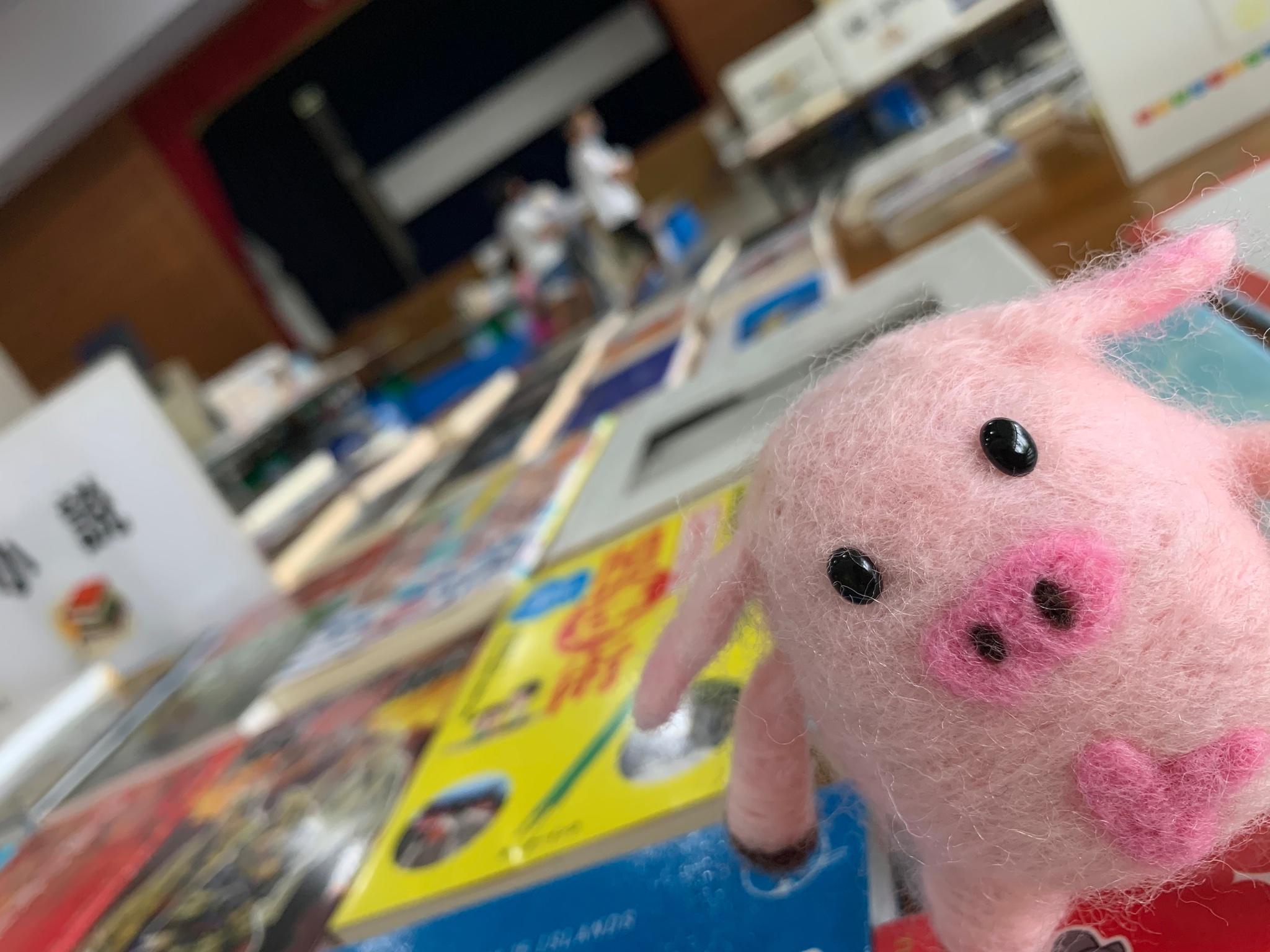 竹富町西表島東部空とぶ図書館の画像3
