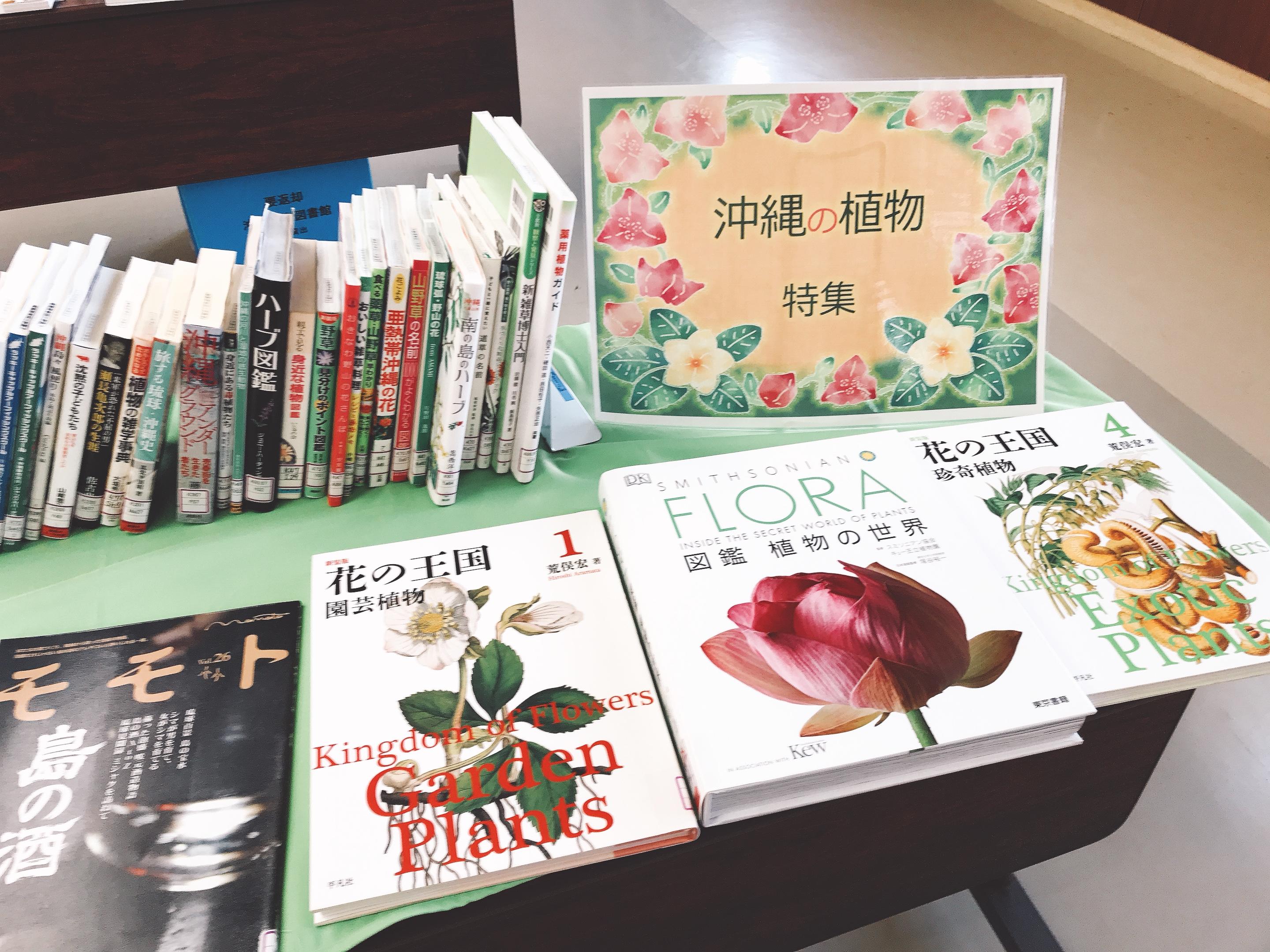 渡名喜村の空とぶ図書館の画像3