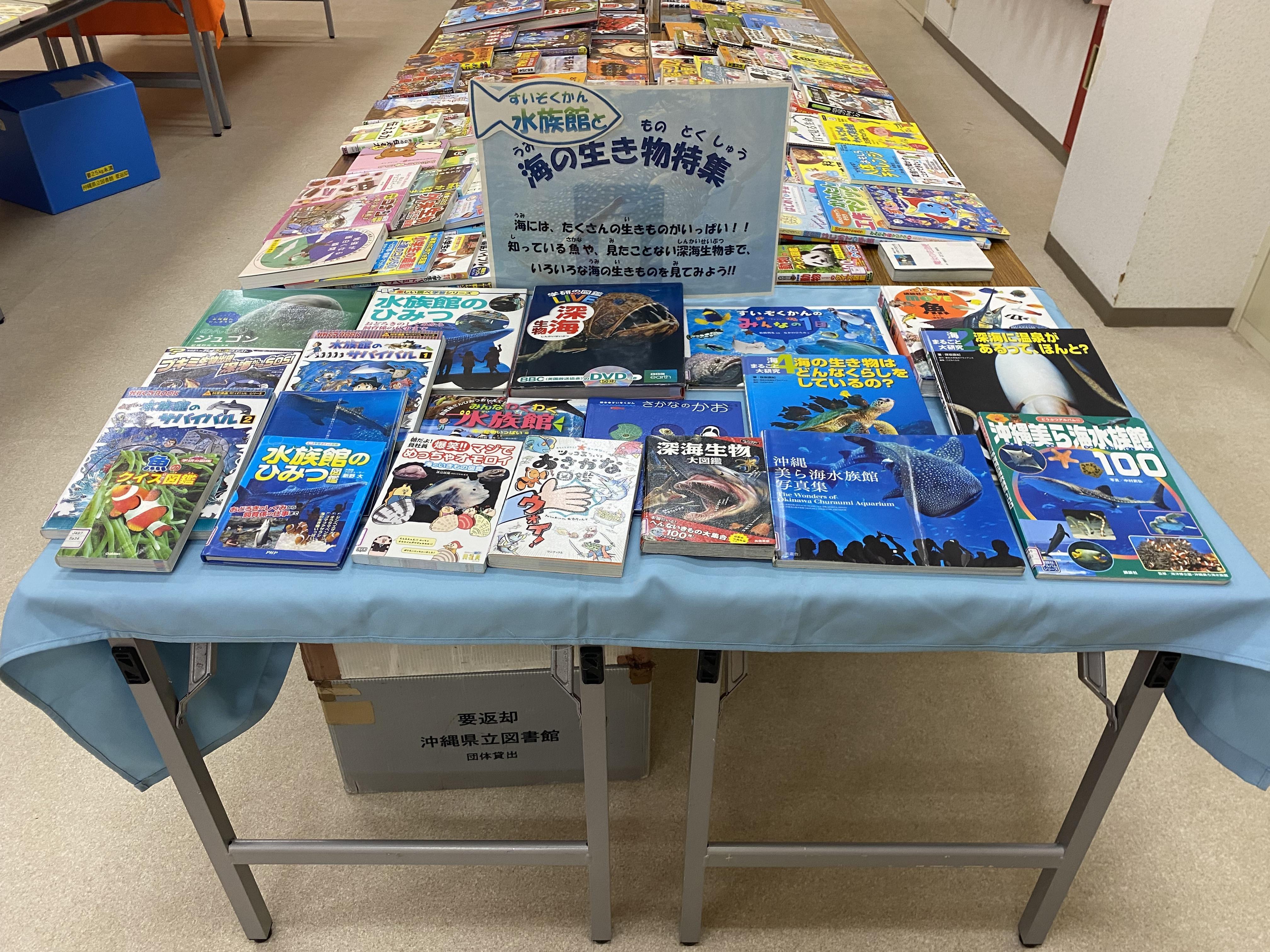 北大東村空とぶ図書館の画像3