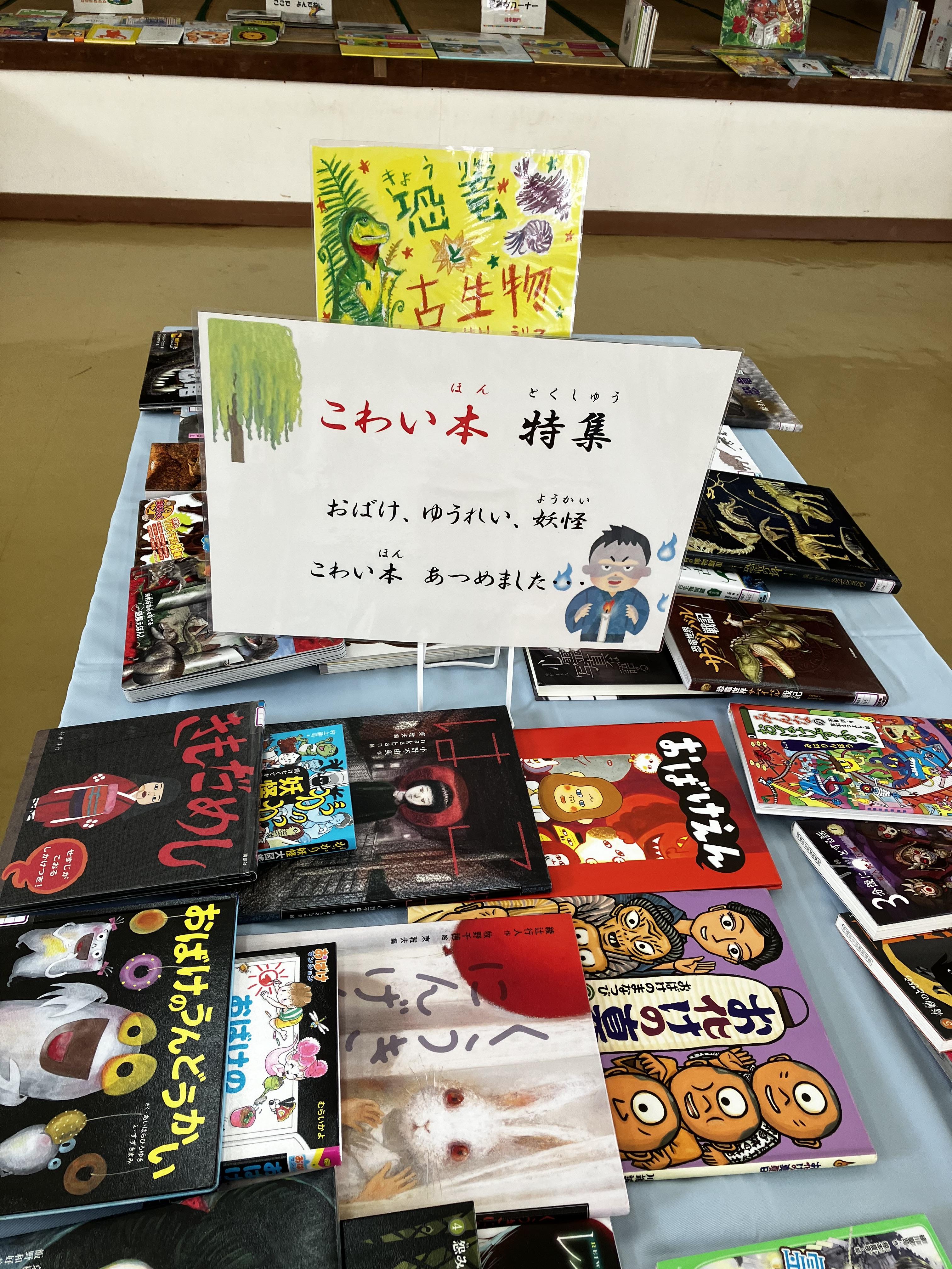 竹富町波照間島空とぶ図書館の画像3