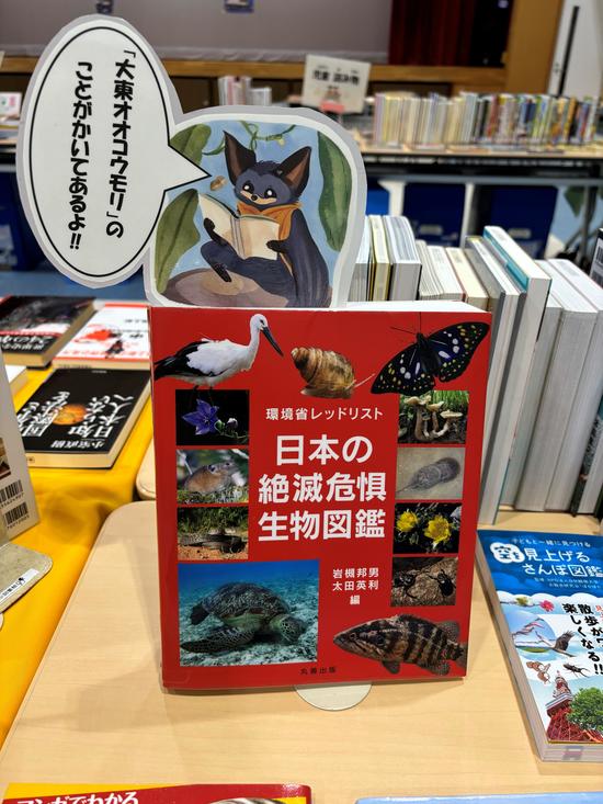 大東オオコウモリについての本.jpg