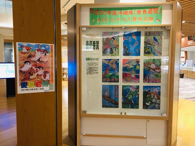 沖縄県立図書館３F展示愛鳥週間コンクール
