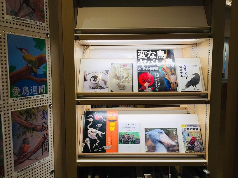 沖縄県立図書館３F展示愛鳥週間コンクール