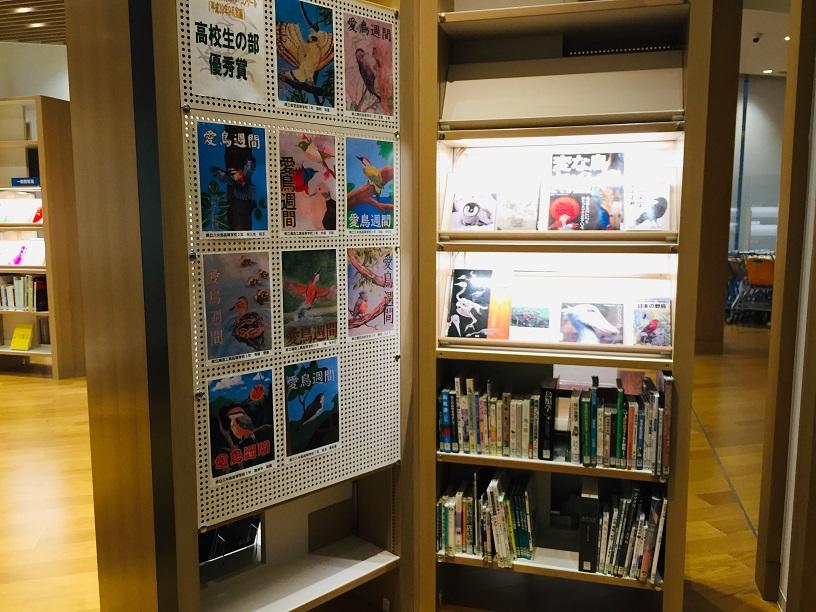 沖縄県立図書館３F展示愛鳥週間コンクール