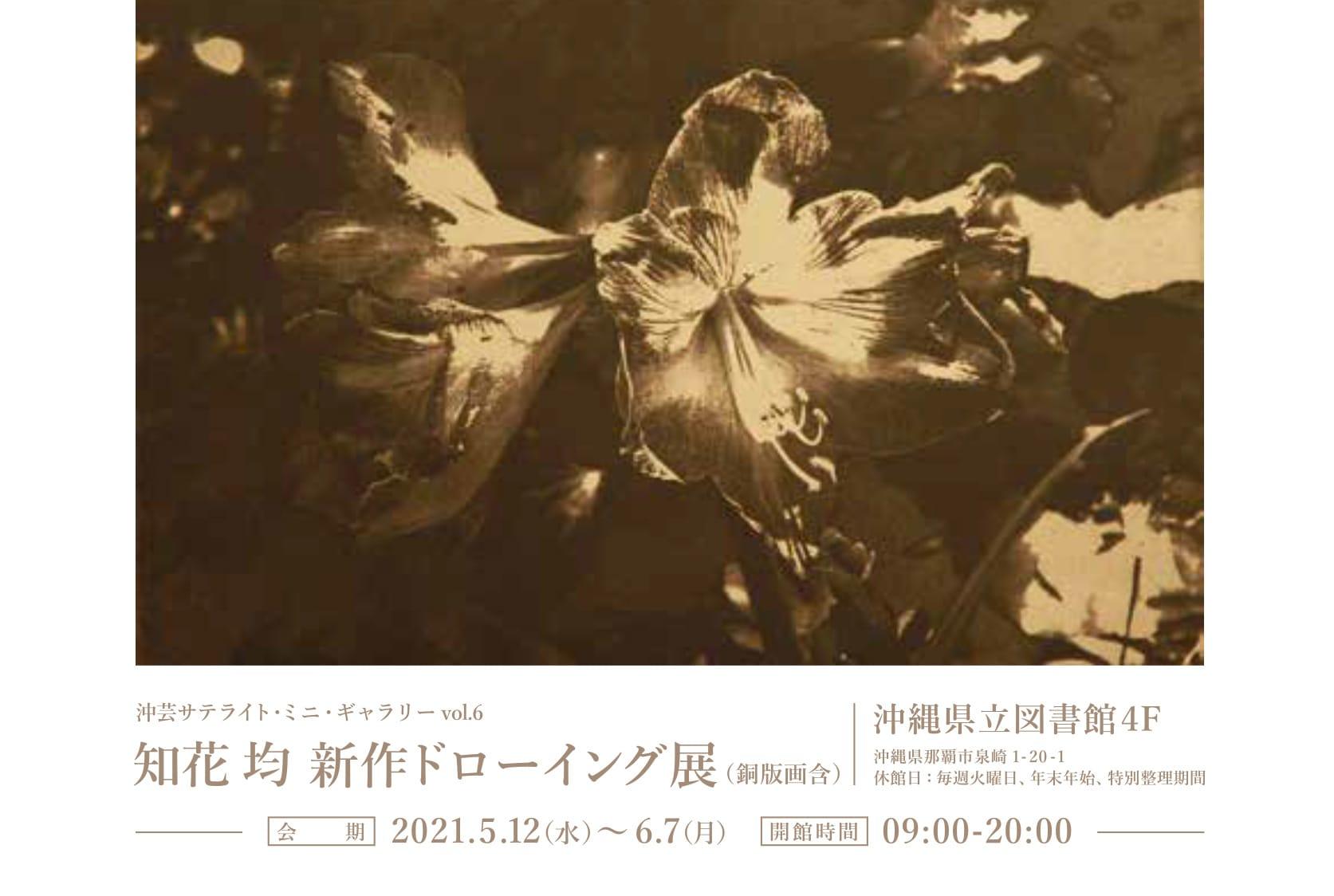 opua-satellite-exhibit06.jpg