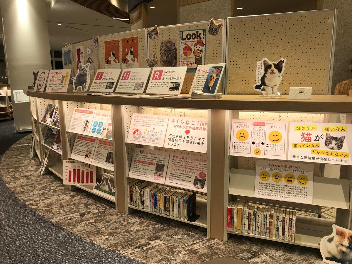 猫の日展示４.jpg